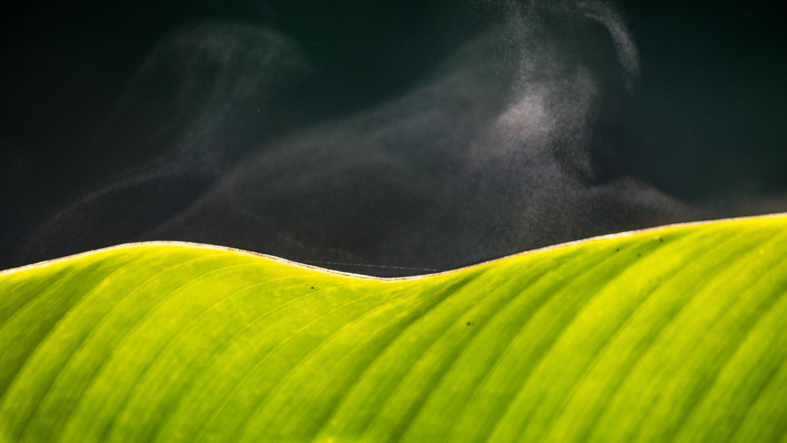 © iStock/Gabriel Schlickmann CC BY SA © iStock/Gabriel Schlickmann CC BY SA